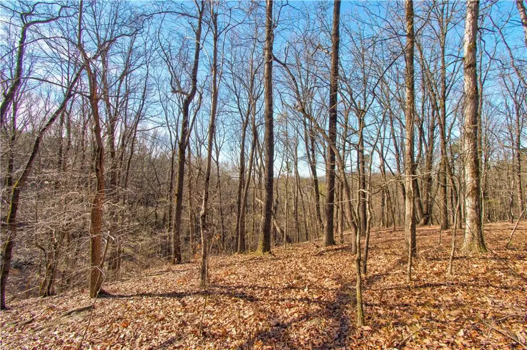 Dahlonega, GA 30533,500 Chapman Ridge LN