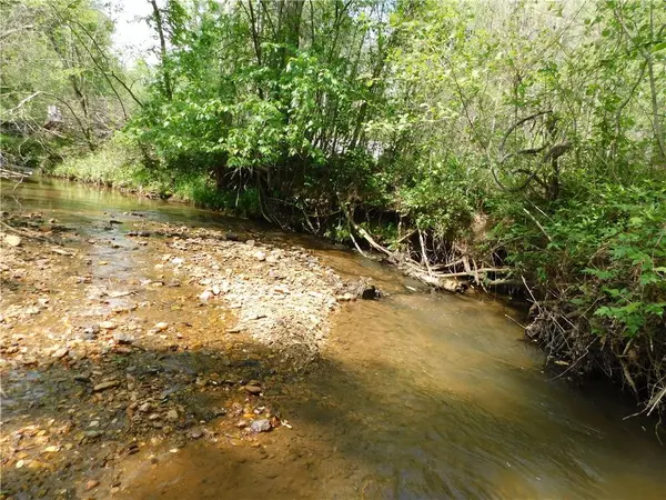 Dahlonega, GA 30533,Lot 11 Tobacco Pouch LN