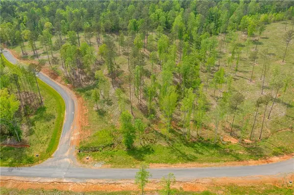 Ellijay, GA 30540,L349 The Vineyard at Yukon