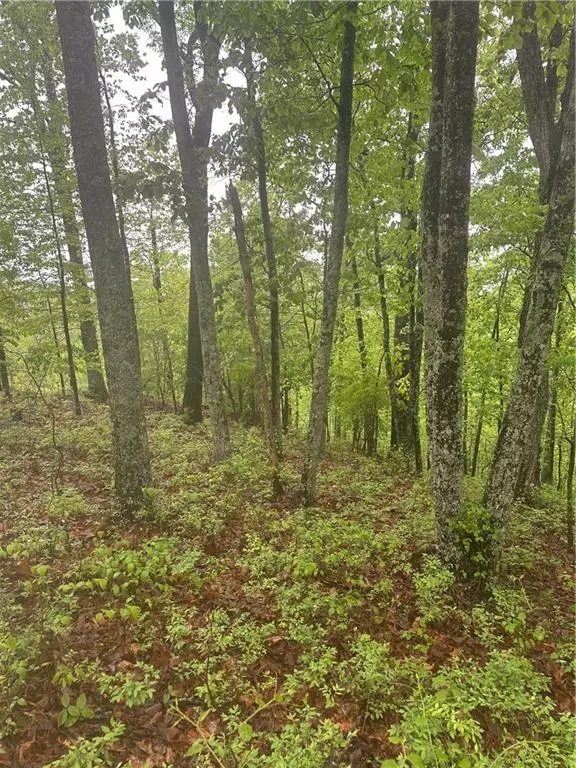 Ranger, GA 30734,1417 Foxhound TRL NE