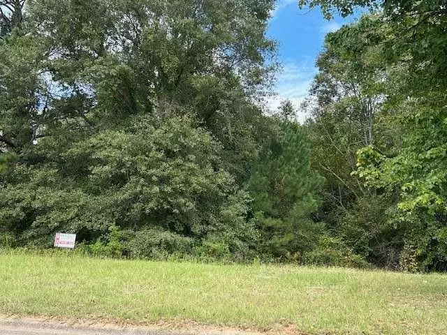 Mcdonough, GA 30253,109 Burleyson DR