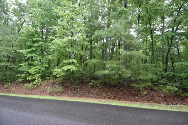 Ellijay, GA 30540,76 N Harris Creek DR