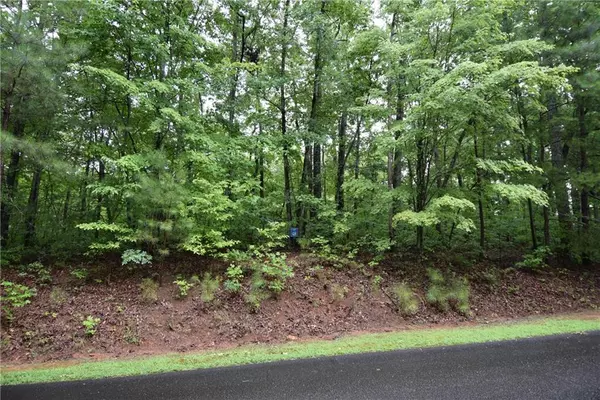 Ellijay, GA 30540,76 N Harris Creek DR