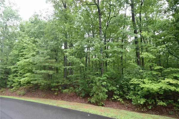 Ellijay, GA 30540,76 N Harris Creek DR