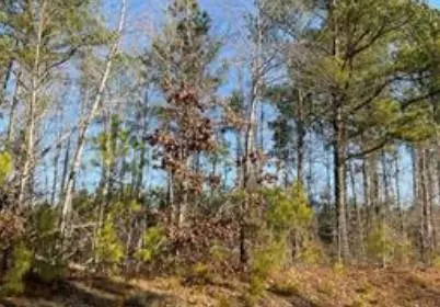 Tallapoosa, GA 30176,--- Steadman RD