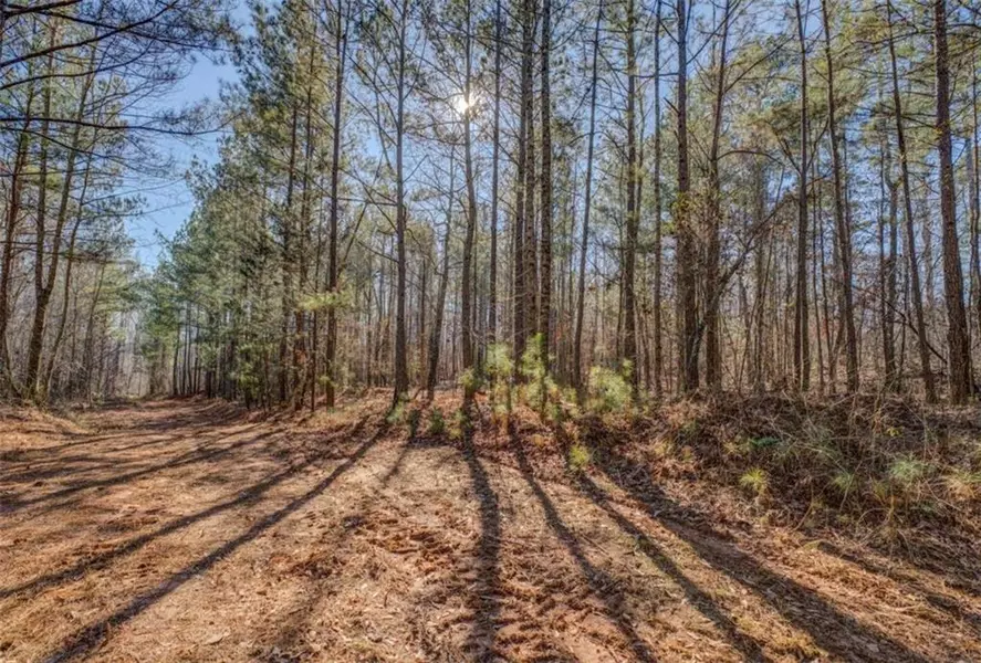 00 Social Circle Fairplay RD, Social Circle, GA 30025