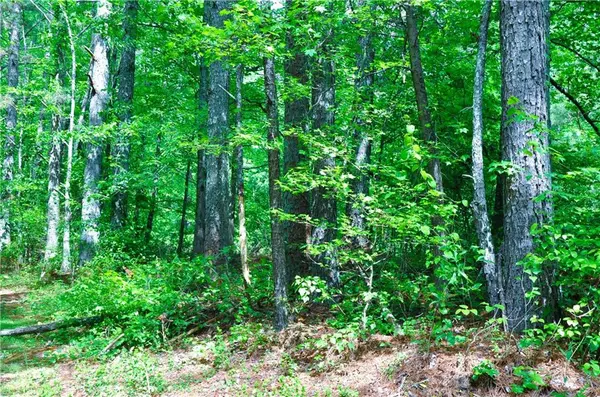 Buchanan, GA 30113,00 Coppermine RD