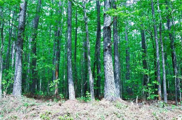 Buchanan, GA 30113,00 Coppermine RD