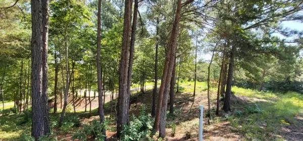 Toccoa, GA 30577,915 N Edgewater TRL N
