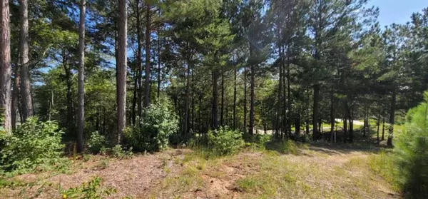 Toccoa, GA 30577,915 N Edgewater TRL N