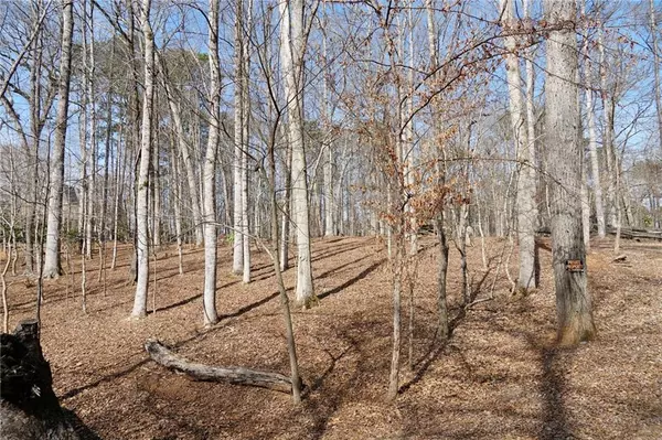 Peachtree Corners, GA 30092,0 Hawk Run