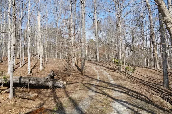 Peachtree Corners, GA 30092,0 Hawk Run