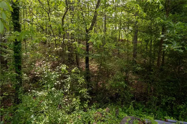 Canton, GA 30115,0 Lower Scott Mill RD