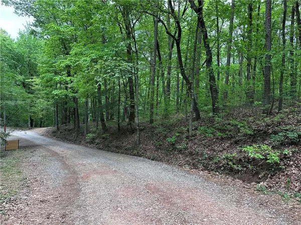 TR1TR3 Flat Branch TRL, Ellijay, GA 30540