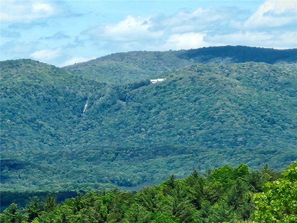 Big Canoe, GA 30143,711 Wildcat DR