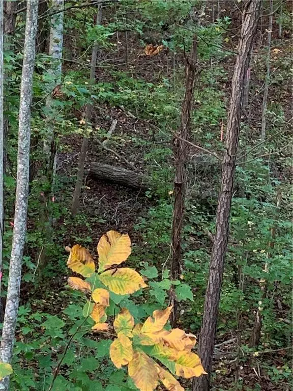 Kennesaw, GA 30152,1303 Cobblemill WAY NW