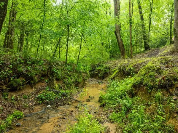 Ellijay, GA 30540,121 Farmstead RD