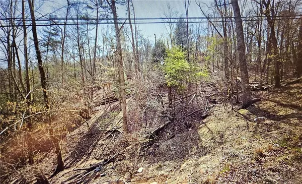 Ellijay, GA 30540,00 Newport DR