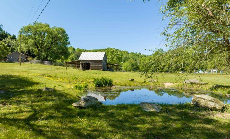 Ellijay, GA 30536,83 Licklog RD