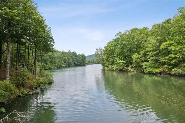 Big Canoe, GA 30143,75 Canada Geese PT