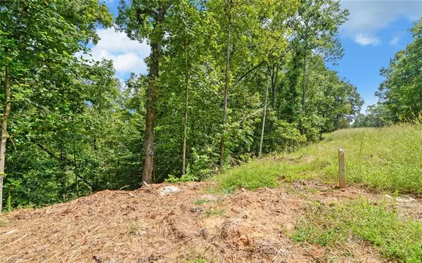 Dawsonville, GA 30534,LL247 Grizzle RD