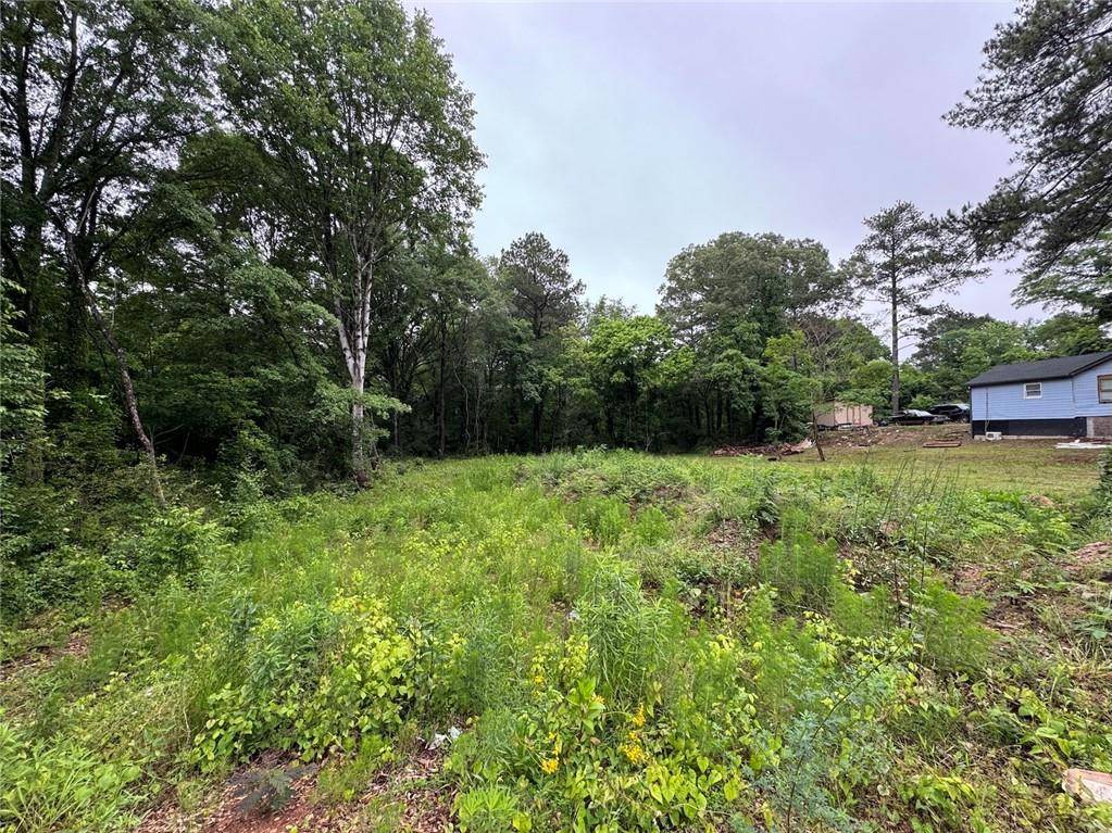 Ellenwood, GA 30294,0 Old Toney RD