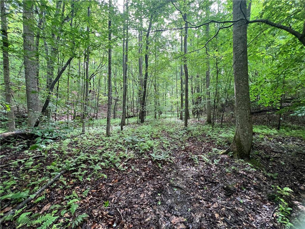 Waleska, GA 30183,395 Able RD
