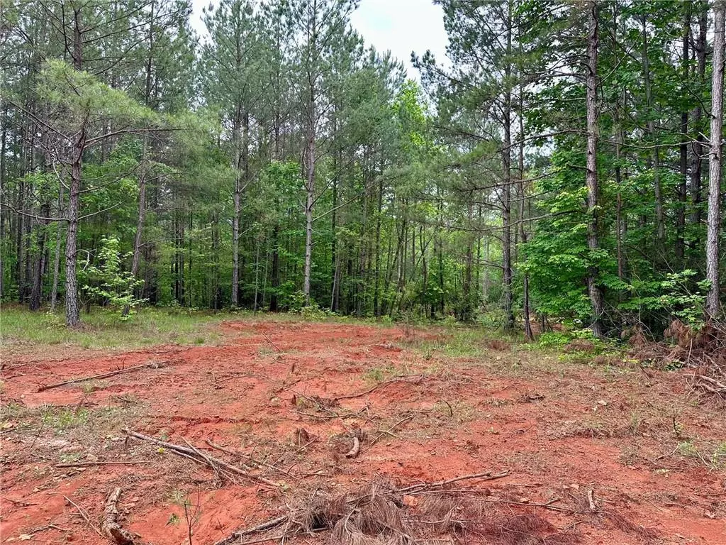 Dahlonega, GA 30533,5.3-/+ Patriot