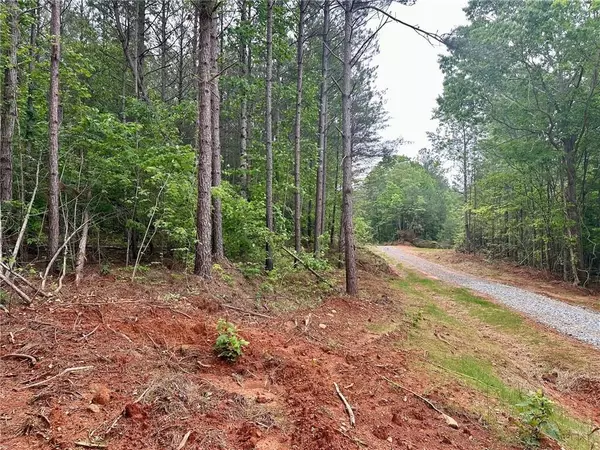 Dahlonega, GA 30533,5.3-/+ Patriot