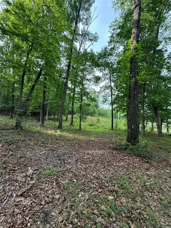 Baldwin, GA 30511,Lot 5 Purvis RD