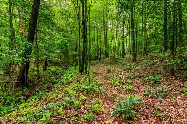 Ellijay, GA 30536,LOT 29 Mountain Spirit WAY