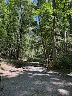 Ranger, GA 30734,176 ABBEY CT NE