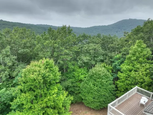 Ellijay, GA 30536,337 Northview Pkwy