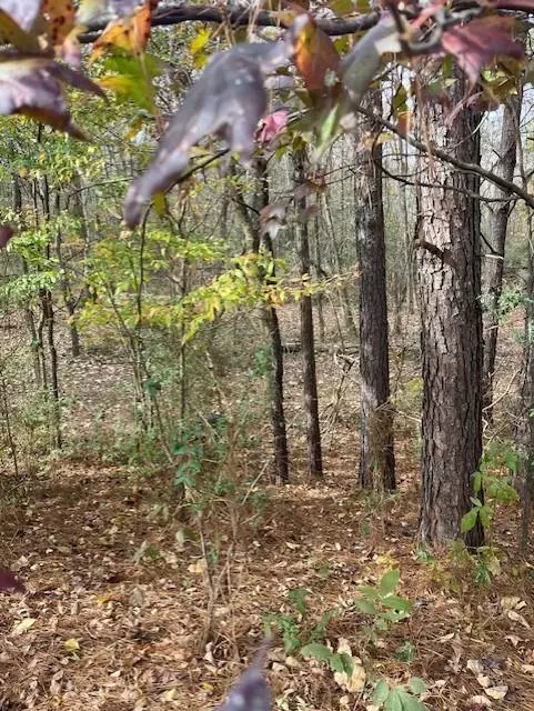 Atlanta, GA 30349,0 Old Bill Cook RD