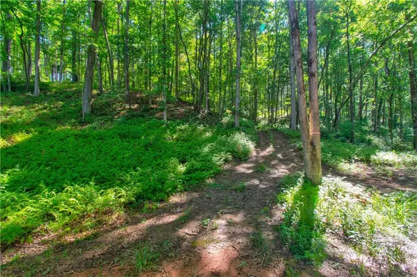 Dahlonega, GA 30533,600 Grand Oak LN