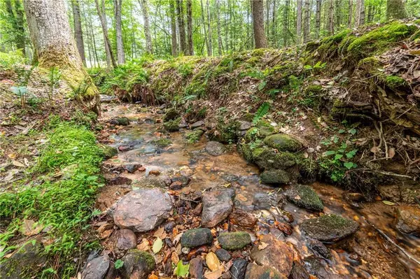 Morganton, GA 30560,347 Dowd RD