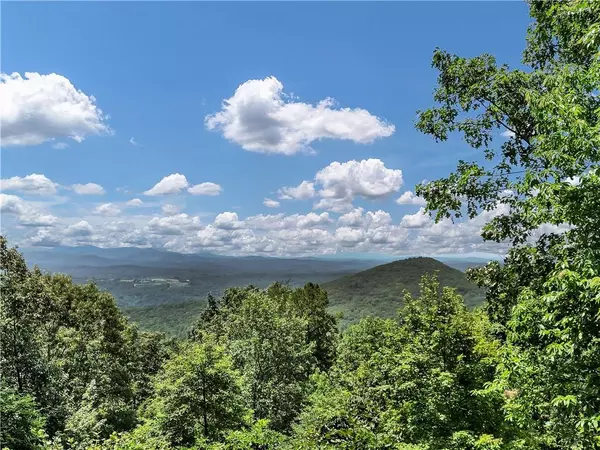Ellijay, GA 30536,368 Walnut RDG