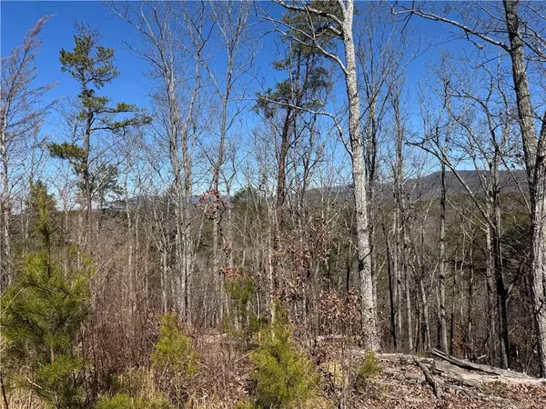 Chatsworth, GA 30705,0 Muscadine LN