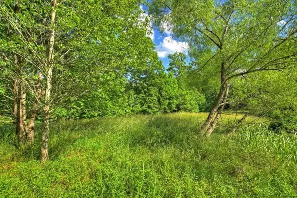 Blue Ridge, GA 30513,LT 15 Tanglewood Cove LN