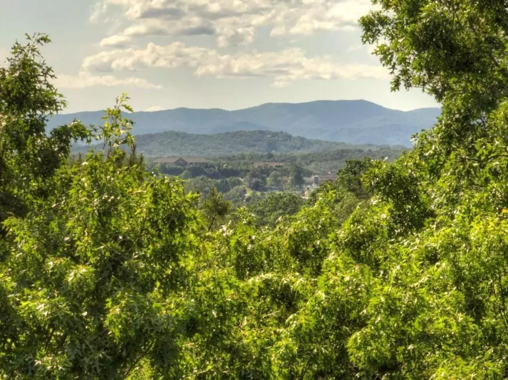 Blue Ridge, GA 30513,LT 15 Tanglewood Cove LN