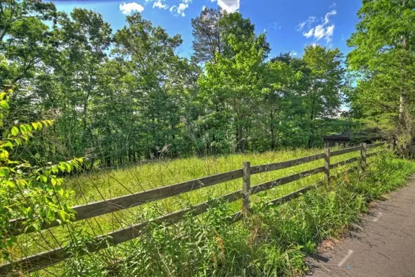 Blue Ridge, GA 30513,LT 15 Tanglewood Cove LN