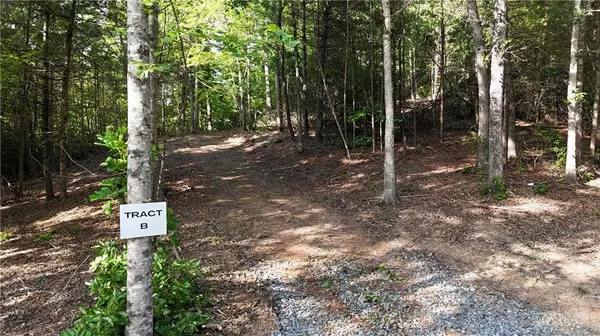 Ellijay, GA 30536,TR B East New Hope RD