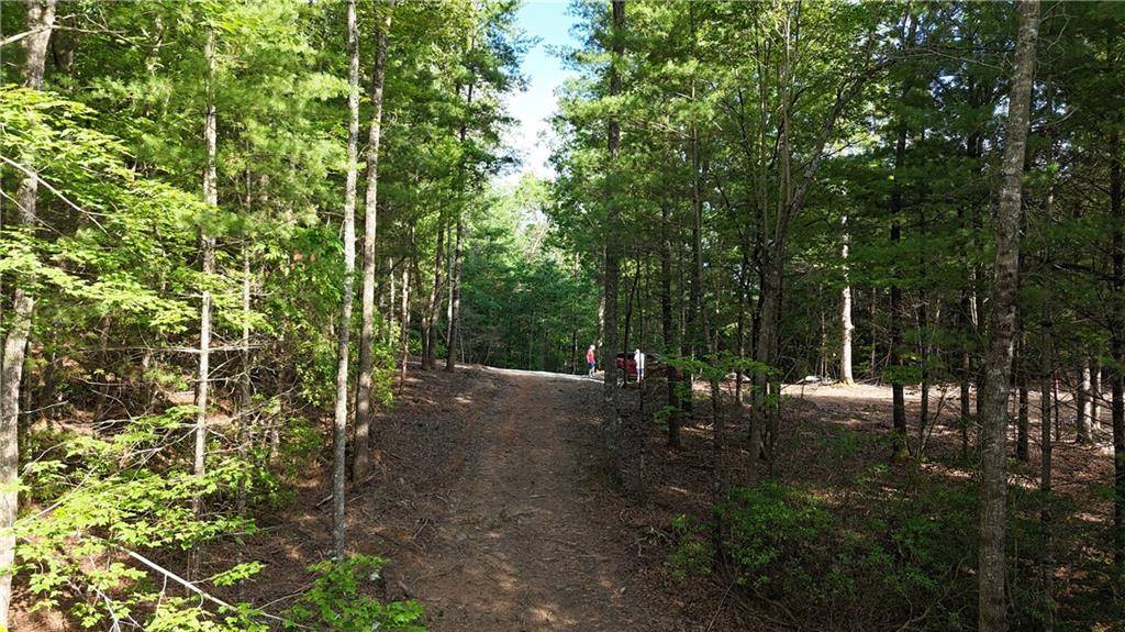 TR C East New Hope RD, Ellijay, GA 30536