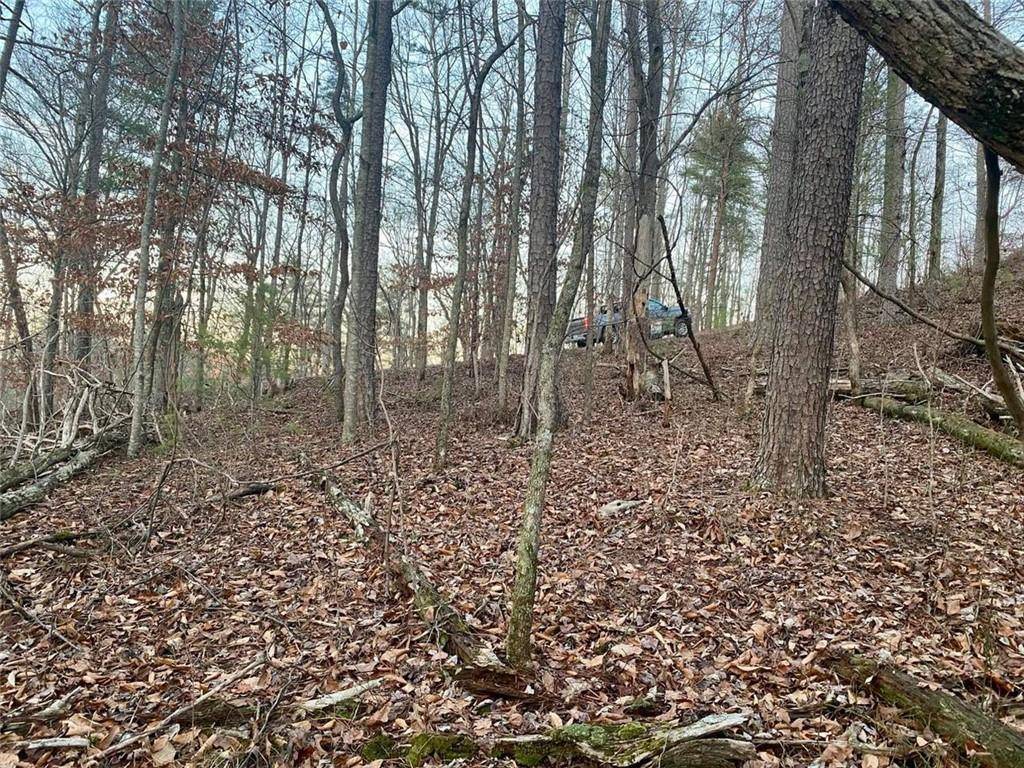 Talking Rock, GA 30175,1684 Shade Tree Drive