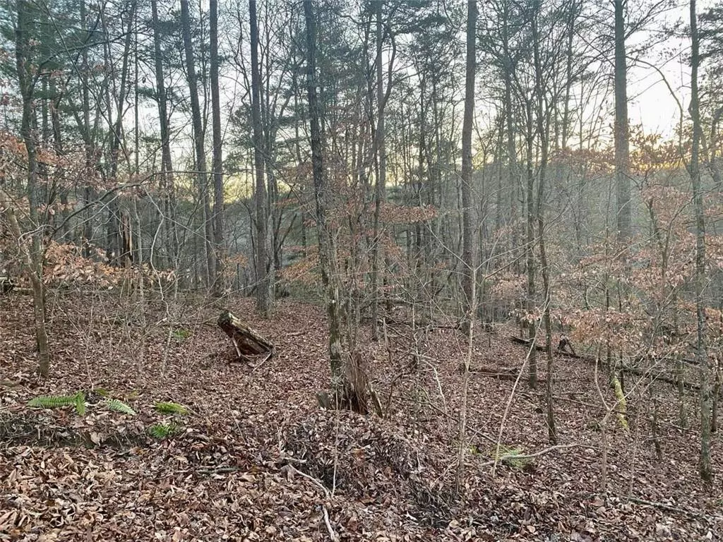 Talking Rock, GA 30175,1684 Shade Tree DR