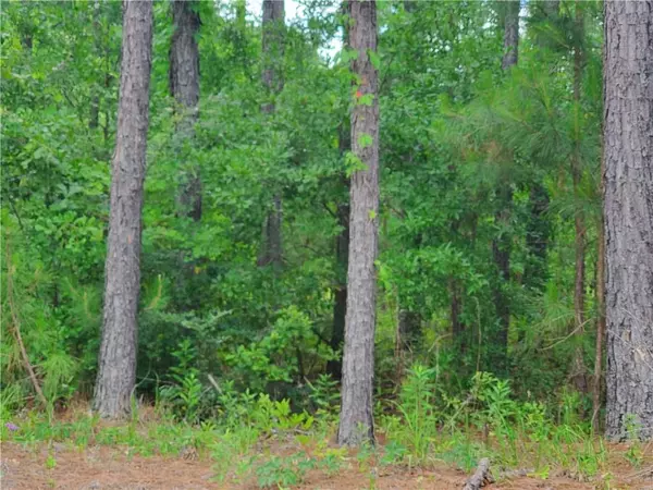 Dawson, GA 39842,352 Hicks RD