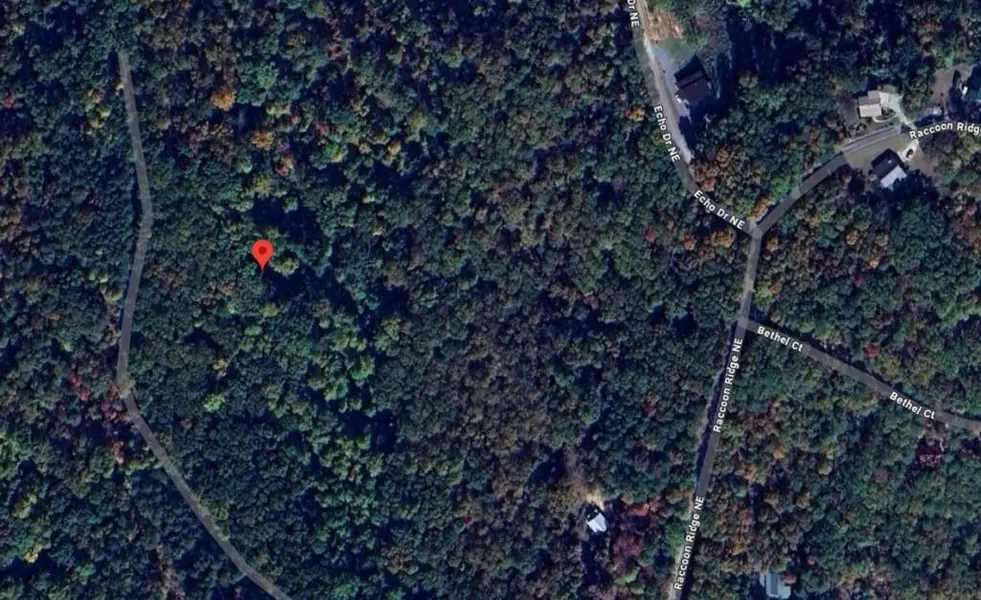 1009 N Cut DR, Ranger, GA 30734