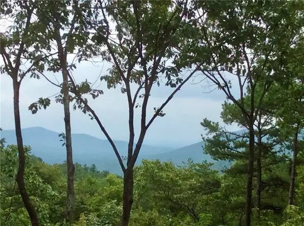 Big Canoe, GA 30143,1811 Valley View DR