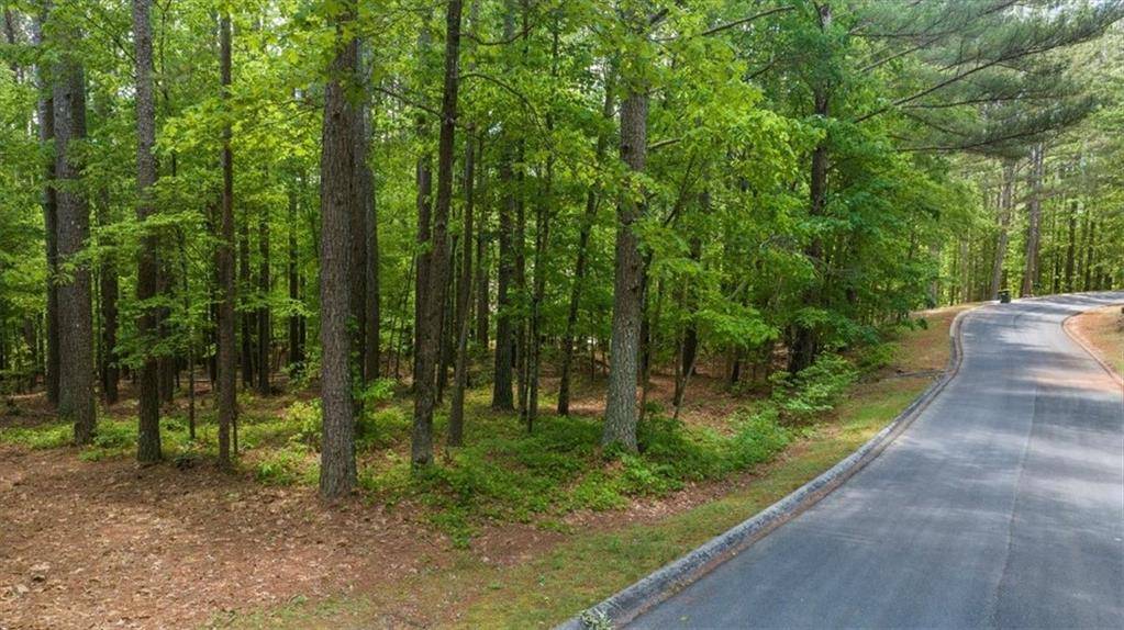 0 Golden Delicious RD, Clarkesville, GA 30523