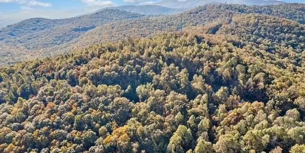 Jasper, GA 30143,Lot 02 Upper Sassafras Pkwy